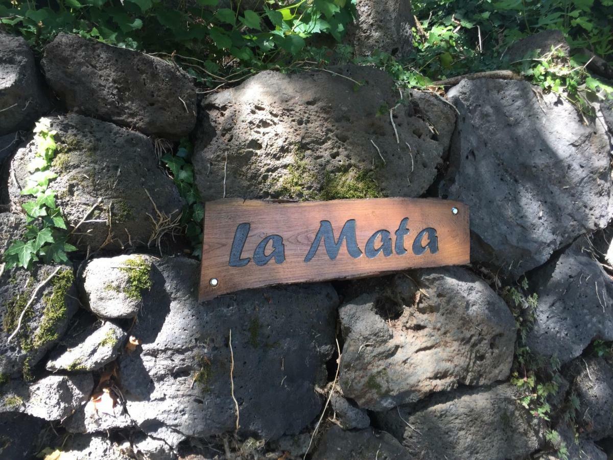 Mas La Mata *